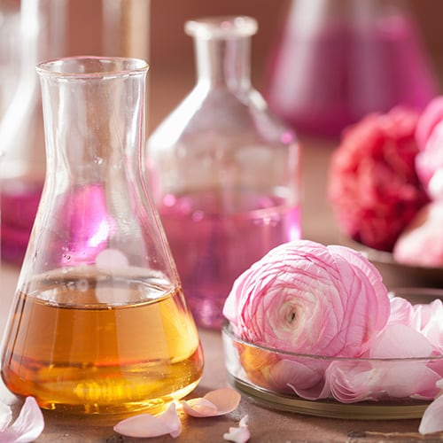 alchemy-aromatherapy-set-with-ranunculus-flowers-flasks
